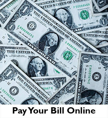 Online Payments